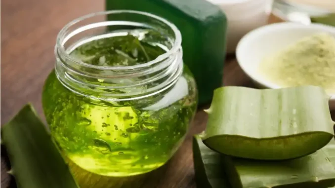 Green fire extinguisher: Aloe Vera